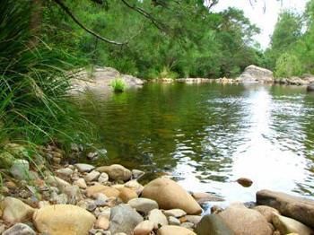 Riverwood Downs Mountain Valley Resort - Inverell Accommodation 9