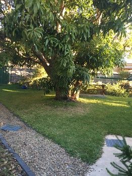 MyStarHome - Inverell Accommodation 9