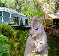 Huon Bush Retreats - Inverell Accommodation