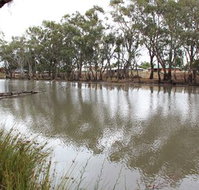 Riverbank Caravan Park - Inverell Accommodation