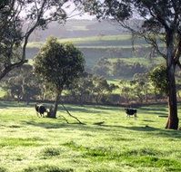 Bellevue Farmstay - Inverell Accommodation