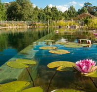 Planetrees Estate  - Inverell Accommodation