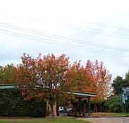 Allambie Motel Pty Ltd - Inverell Accommodation