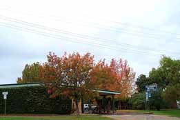 Allambie Motel Pty Ltd - Inverell Accommodation 0