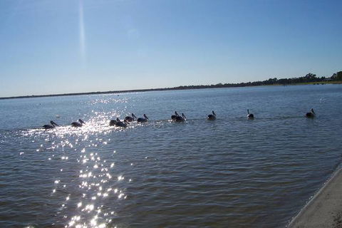 Discovery Holiday Parks - Lake Bonney - Inverell Accommodation 1