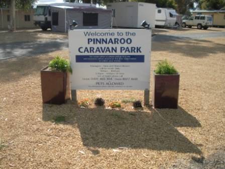 Pinnaroo Caravan Park - Inverell Accommodation 0