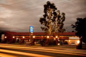 BEST WESTERN Balmoral Motor Inn - Inverell Accommodation 0
