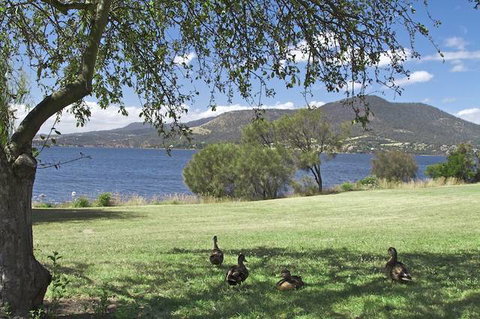 Riverfront Motel & Villas - Inverell Accommodation 0