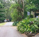 Tamborine Mountain Caravan  Camping - Inverell Accommodation