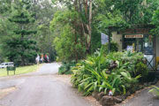 Tamborine Mountain Caravan & Camping - Inverell Accommodation 0