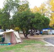 Wedderburn Pioneer Caravan Park - Inverell Accommodation