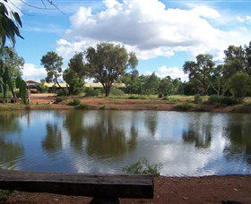 Gemtree Caravan And Tourist Park - Inverell Accommodation 0