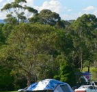 Milton Valley Holiday Park - Inverell Accommodation