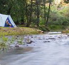 Nymboida Canoe Centre - Inverell Accommodation
