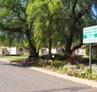 Spicer Park Caravan Park - Inverell Accommodation