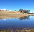 Bombala Maneroo Motel - Bombala - Inverell Accommodation