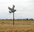 Gulargambone Hotel - Gulargambone - Inverell Accommodation
