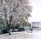 Maneroo Motel - Inverell Accommodation