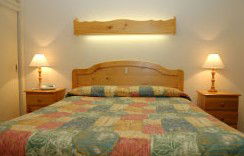 Best Western Fawkner Airport Motor Inn & Serviced Apartments - Inverell Accommodation 1