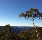 Coach Cottage - Inverell Accommodation
