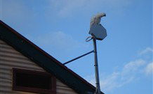 Lake View Farm House - Inverell Accommodation 7