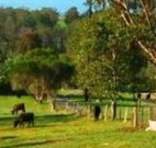 Giba Gunyah Country Cottages - Inverell Accommodation
