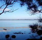 The Edgewater Bed and Breakfast - Inverell Accommodation