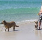 A Paradise Bungalow Waterfront - Inverell Accommodation