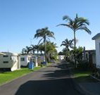 Lilac Cottage - Inverell Accommodation