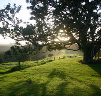 Kilfeacle Farm Cottage - Inverell Accommodation