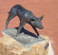 The Ardlethan Kelpie Caravan Park - Inverell Accommodation