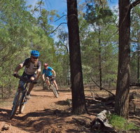 Back Yamma State Forest - Inverell Accommodation