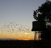 Nevertire Hotel - Inverell Accommodation