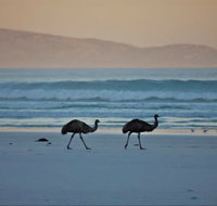 Thomas River Shire Reserve Camp at Cape Arid National Park - Inverell Accommodation