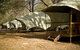 Wilderness Retreats Buchan Caves Reserve - thumb 1