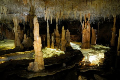 Wilderness Retreats Buchan Caves Reserve - Inverell Accommodation 8