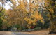 Wilderness Retreats Buchan Caves Reserve - thumb 9