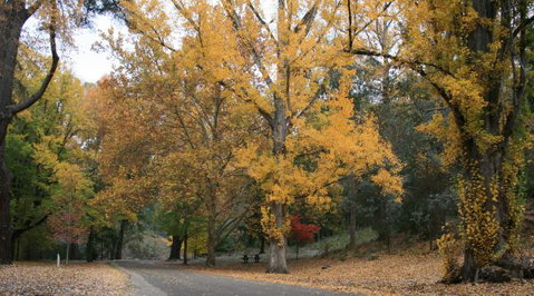 Wilderness Retreats Buchan Caves Reserve - Inverell Accommodation 9