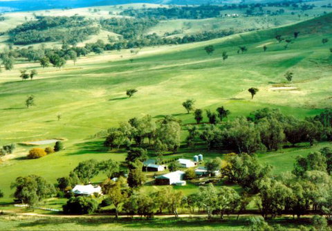 Daisyburn Homestead - Inverell Accommodation 0