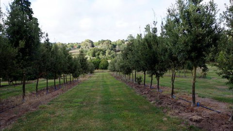 Oakhill Cottage - Inverell Accommodation 6