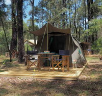 Tall Trees Camping on the Great Ocean Road - Inverell Accommodation
