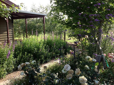 Wandana Bed And Breakfast - Inverell Accommodation 0