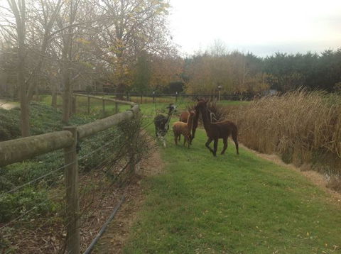 Wandana Bed And Breakfast - Inverell Accommodation 1