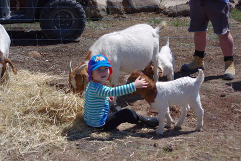 Yalooka Farm - Inverell Accommodation 3
