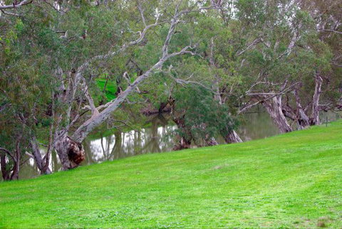 Yalooka Farm - Inverell Accommodation 4