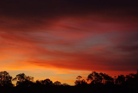 Yalooka Farm - Inverell Accommodation 5