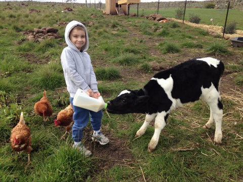 Yalooka Farm - Inverell Accommodation 8