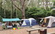 Pebbly Beach Campground - Yuraygir National Park - thumb 0