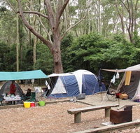 Pebbly Beach campground - Yuraygir National Park - Inverell Accommodation