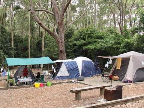 Pebbly Beach Campground - Yuraygir National Park - Inverell Accommodation 0